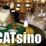 catsino